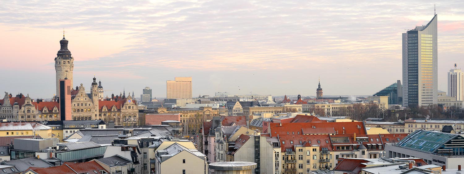 Dachrinnen Reinigung in Leipzig